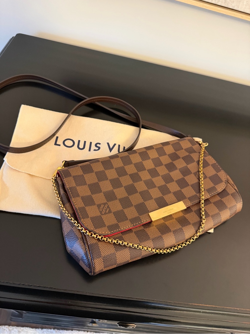 Louis Vuitton Favorite MM Damier Ebene